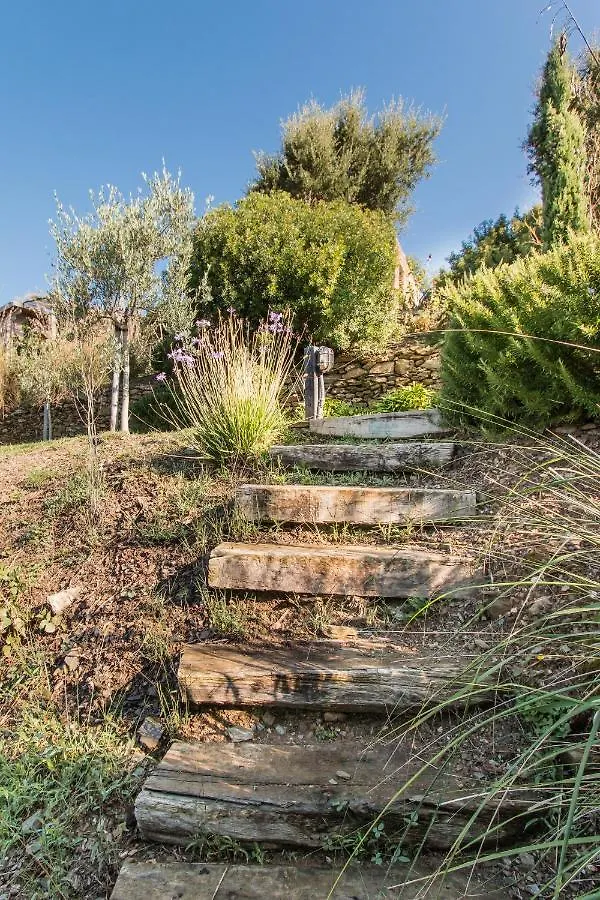 Villa Il Fico, Isola D'Elba, Piscina E Aria Condizionata 리오마리나