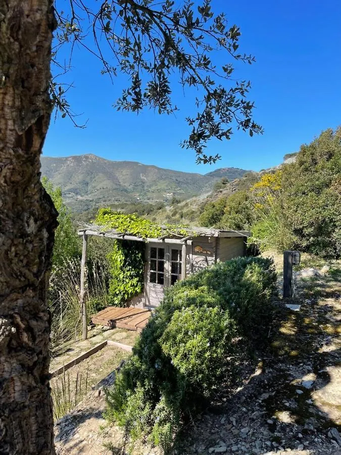 Villa Il Fico, Isola D'Elba, Piscina E Aria Condizionata 리오마리나