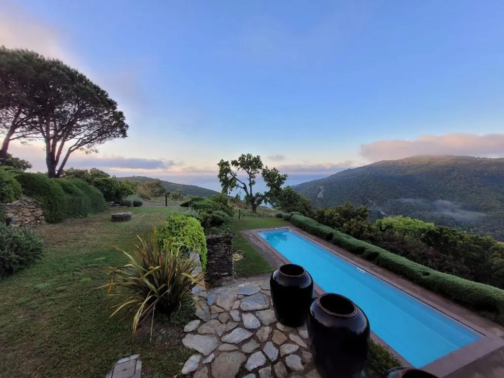 Villa Il Fico, Isola D'Elba, Piscina E Aria Condizionata 리오마리나